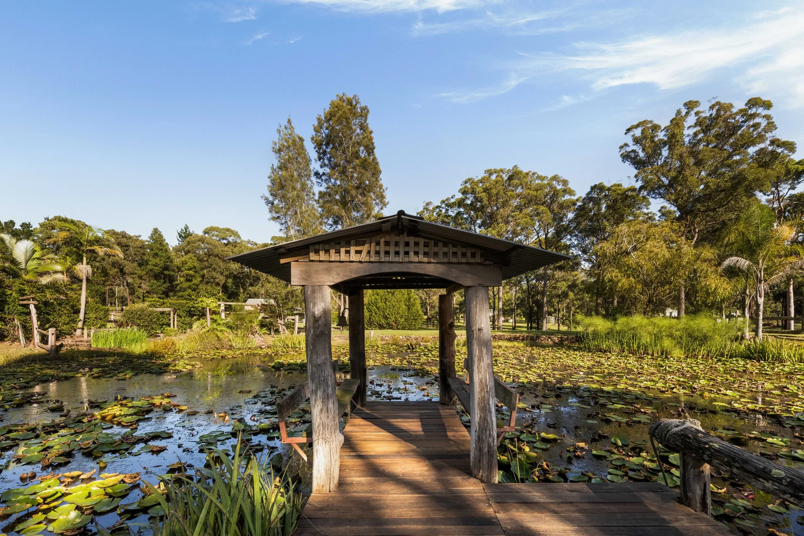 Additional image 22 of 242 Dairy Road, The Oaks NSW 2570