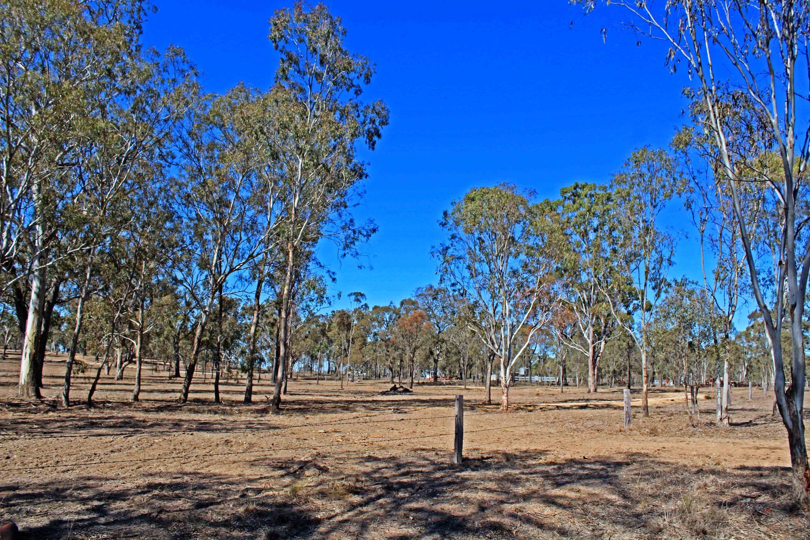 Lot 31 White Street, Pratten QLD 4370 House for Sale 125,000