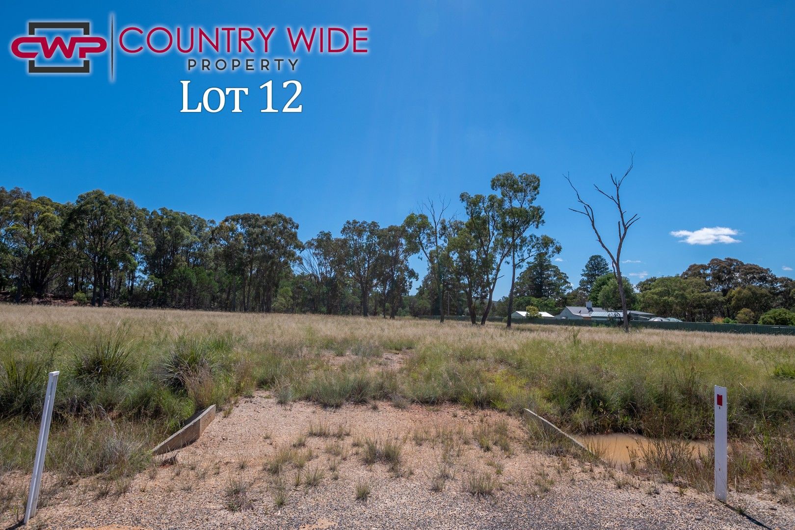 12 Marshall Way, Emmaville NSW 2371, Image 0