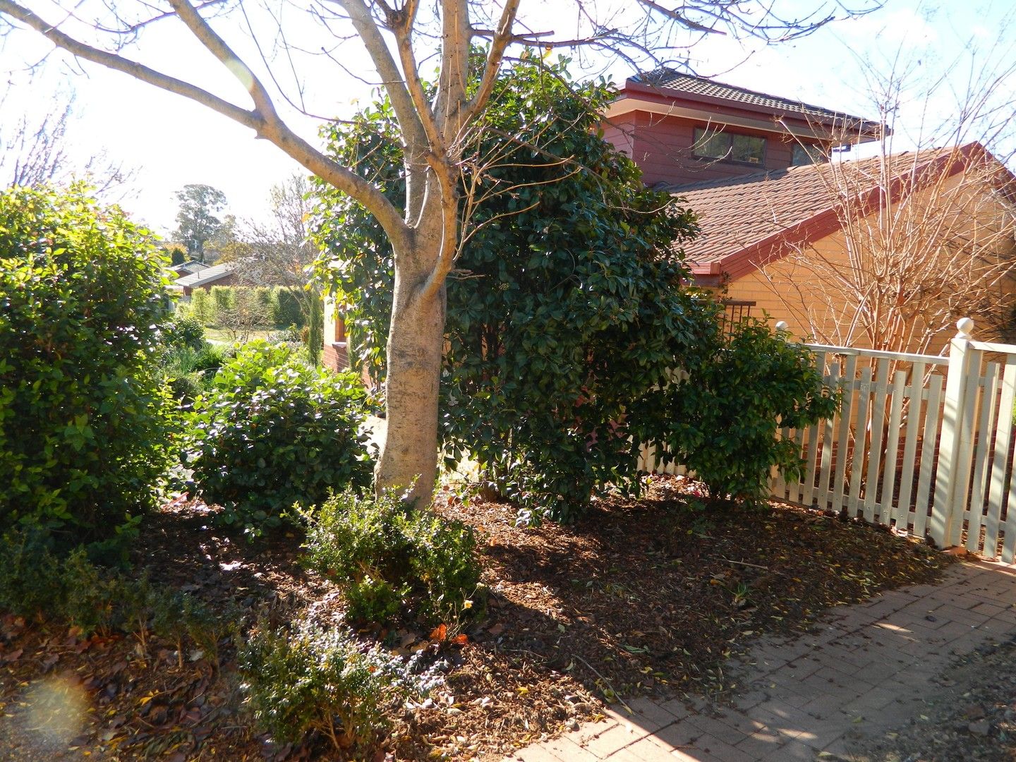 3 bedrooms House in 3 Lockhart Place AMAROO ACT, 2914