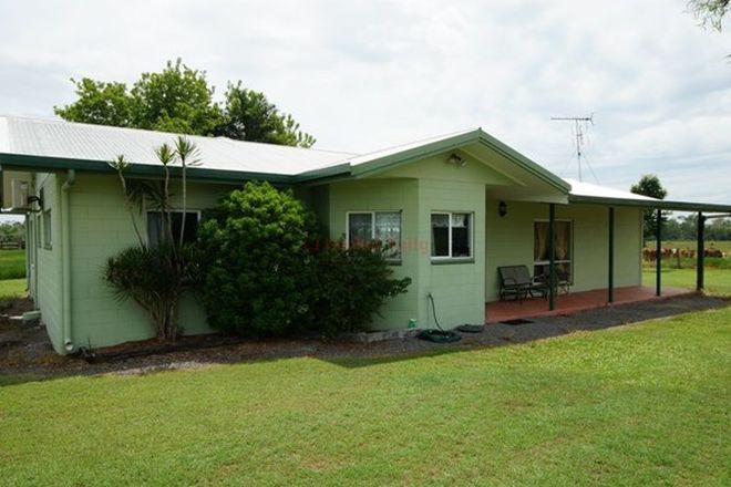 Picture of 320 Bluff Road, BILYANA QLD 4854