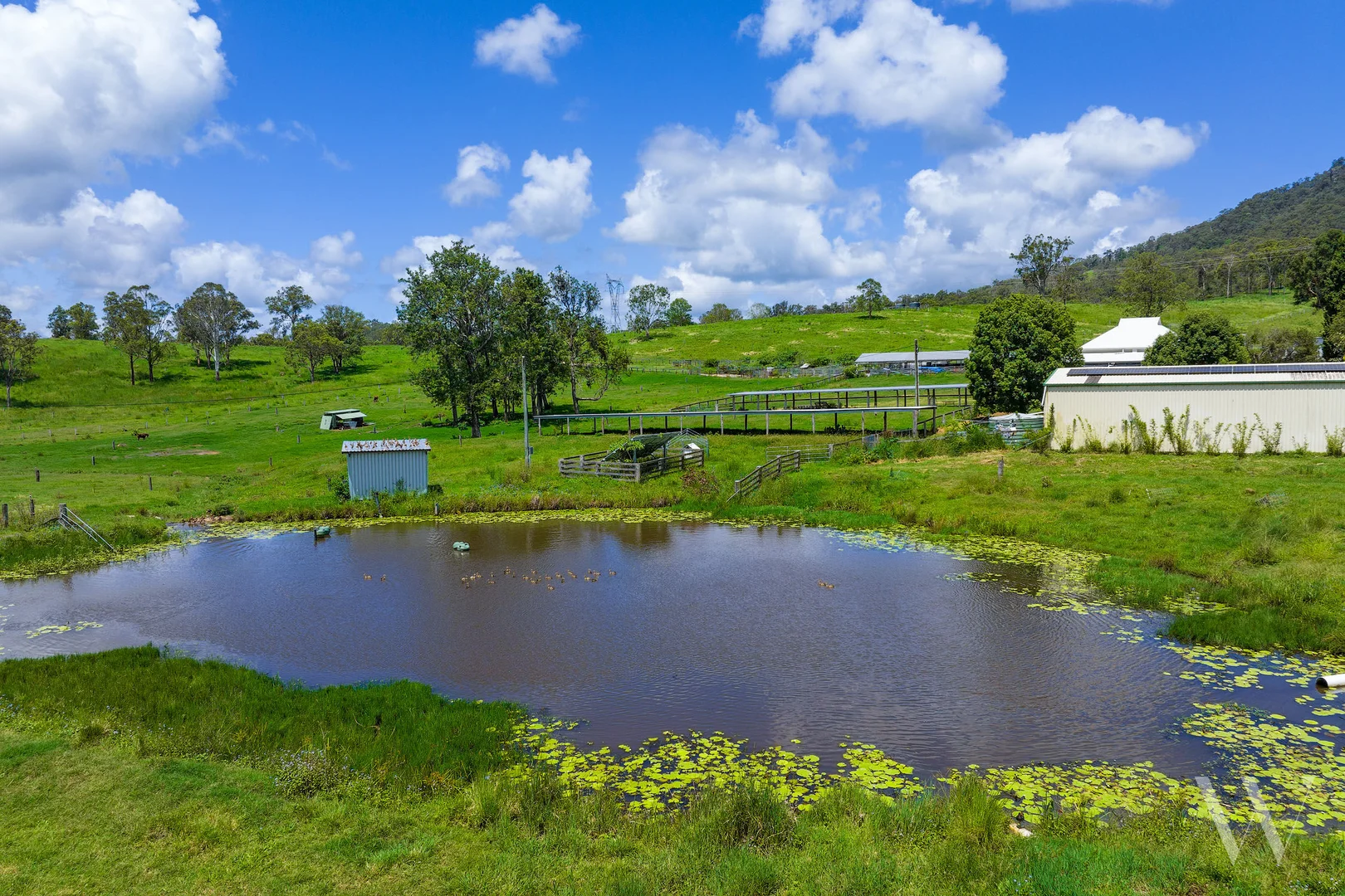 4015 Mary Valley Road, Brooloo QLD 4570 - House for Sale | Domain