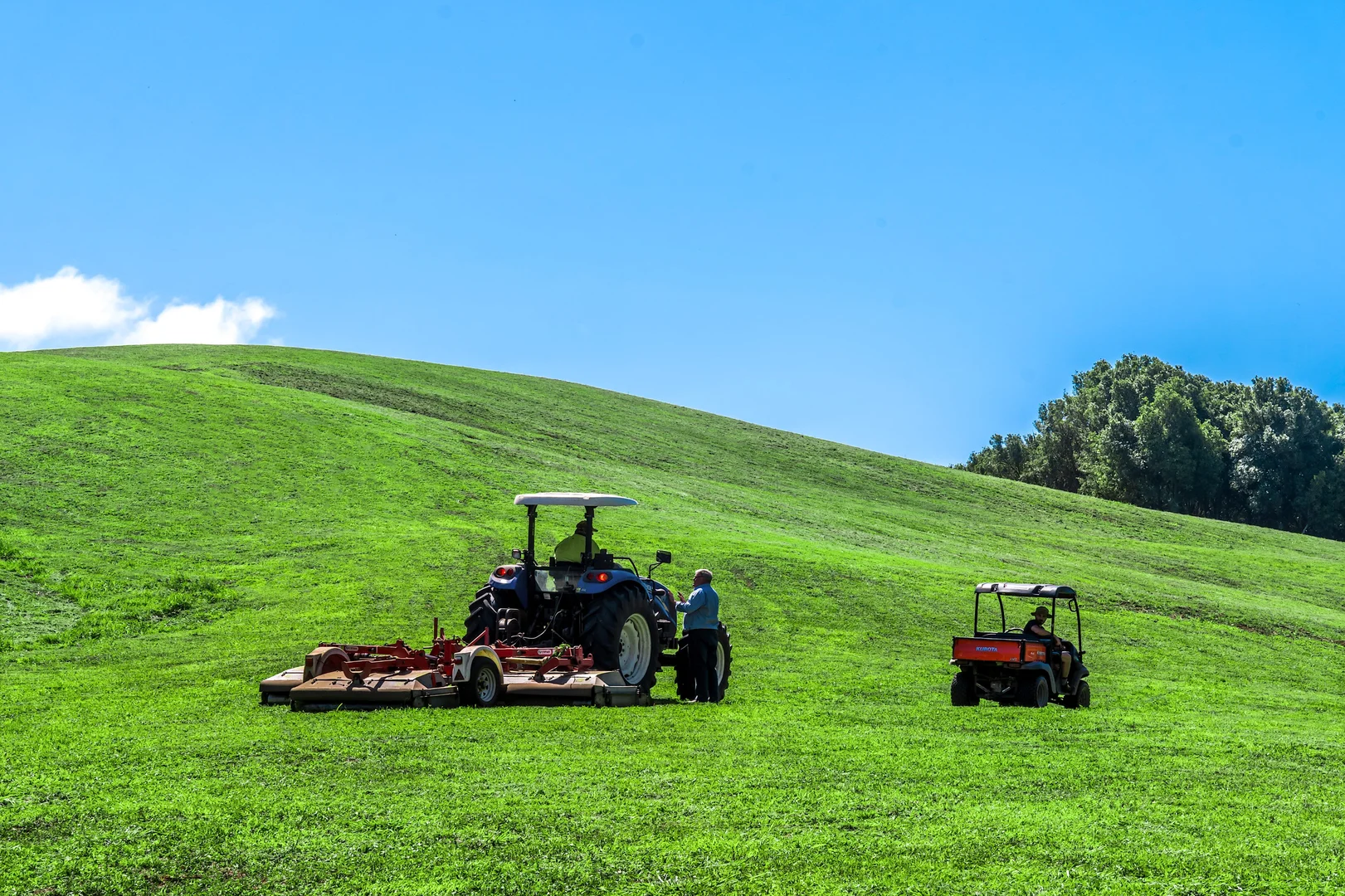 Additional image 19 of 362 Coorabell Road, Coorabell NSW 2479