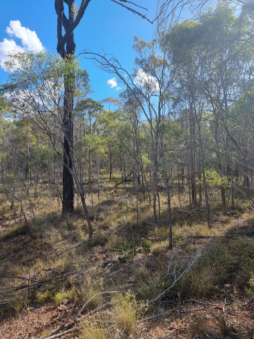 23 T H Burns Road, Ballogie QLD 4610 House for Sale Domain