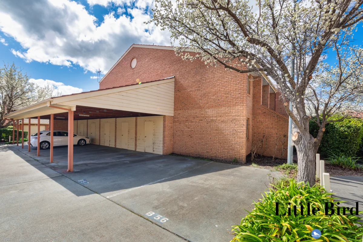 Additional image 8 of 74b/12 Albermarle Place, Phillip ACT 2606