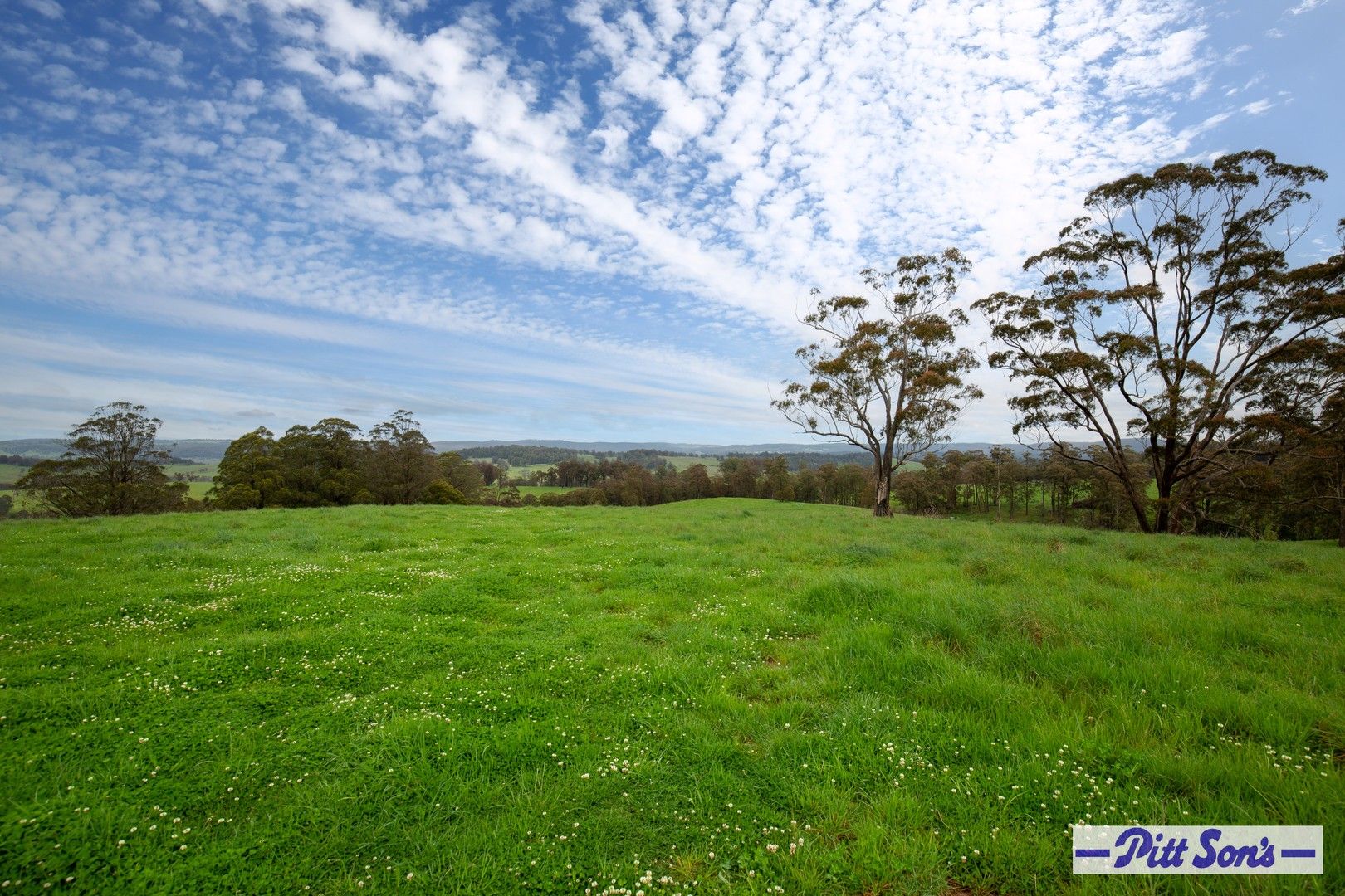 1275 Tops Road, Walcha NSW 2354, Image 0