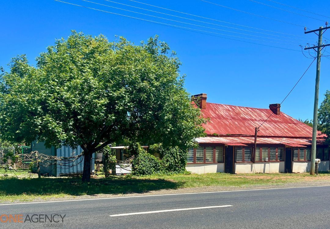 64 Main Street, Cudal NSW 2864, Image 2