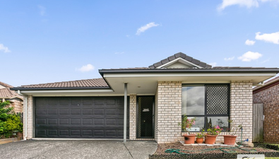 Picture of 8 Pearse Street, COLLINGWOOD PARK QLD 4301