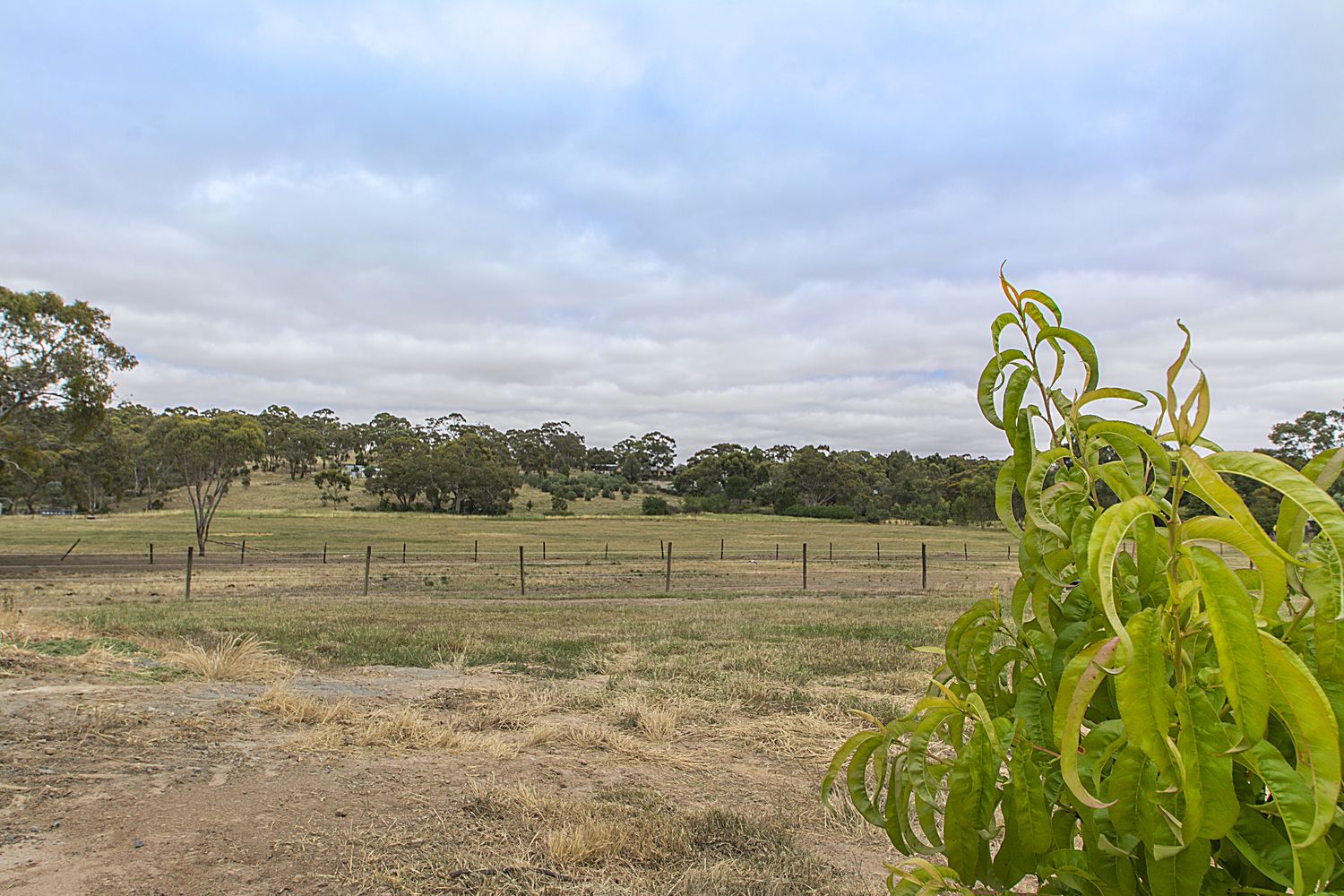 56 Emu Flat Road, Armagh SA 5453, Image 2