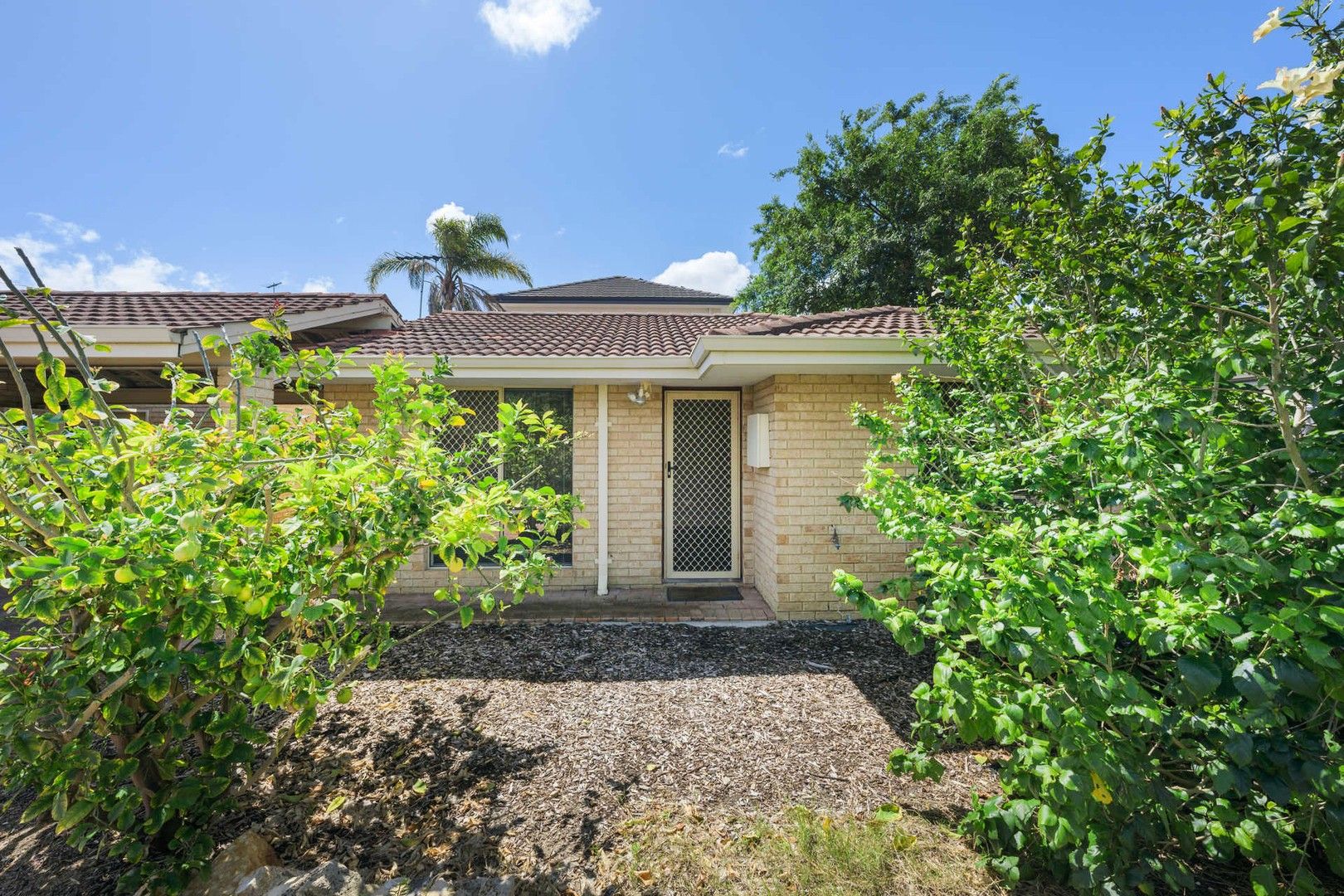 2 bedrooms Villa in 4/46-48 Banksia Street JOONDANNA WA, 6060