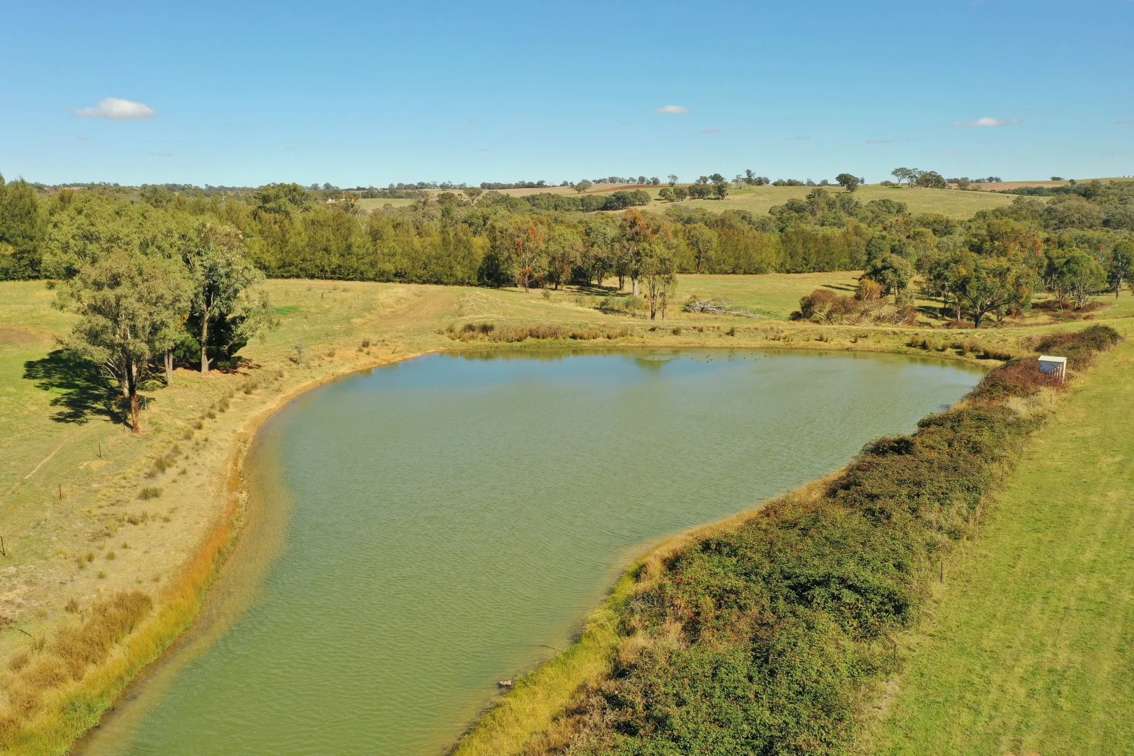 Image 25