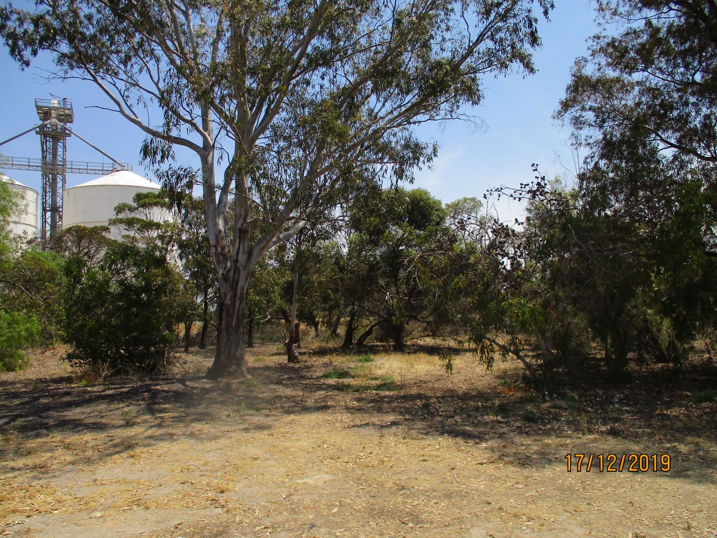 2148 Old Dukes Highway, Coomandook SA 5261, Image 2