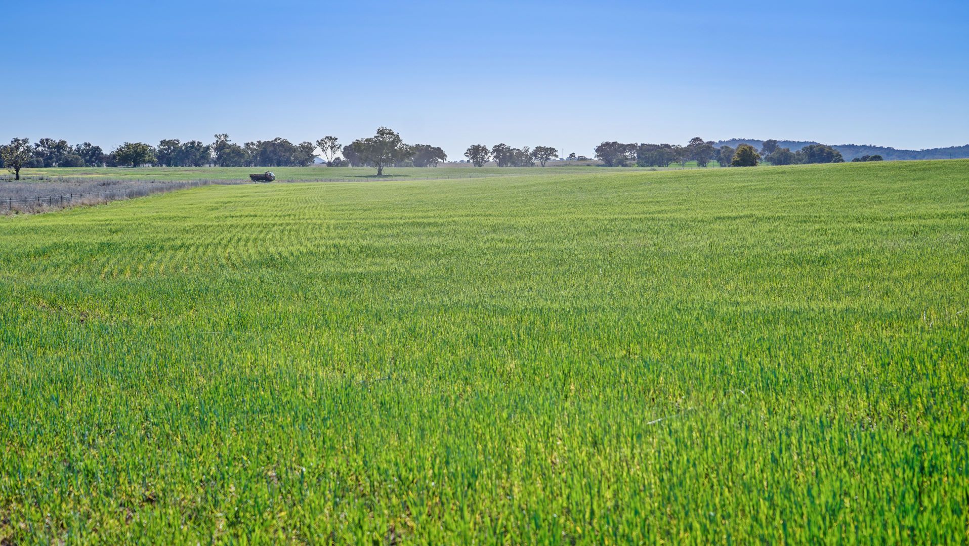 'Glenauchra' 16 Martins Lane, Curra Creek NSW 2820, Image 1