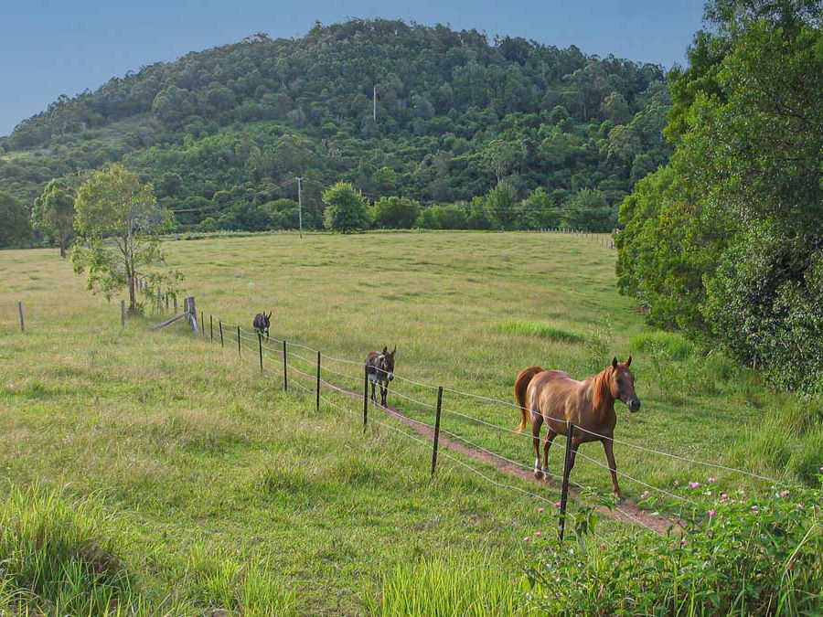 147 Millers Road, Bobin NSW 2429, Image 0