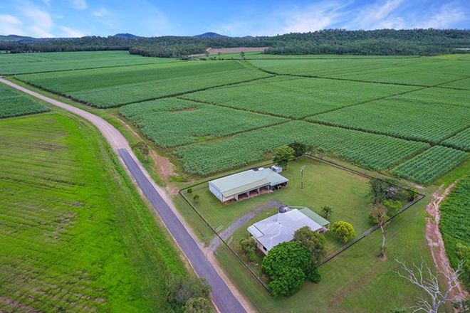 Picture of 10 Aldis Road, ST HELENS BEACH QLD 4798