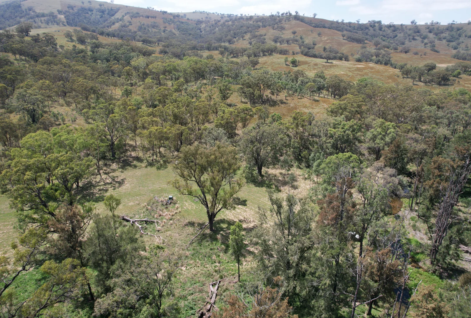 Image 13