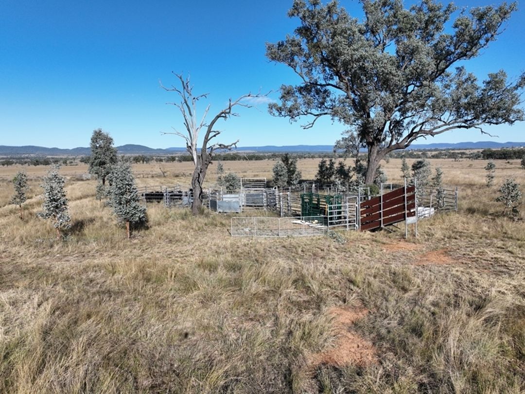 Emu Vale, Bingara NSW 2404 House for Sale Domain