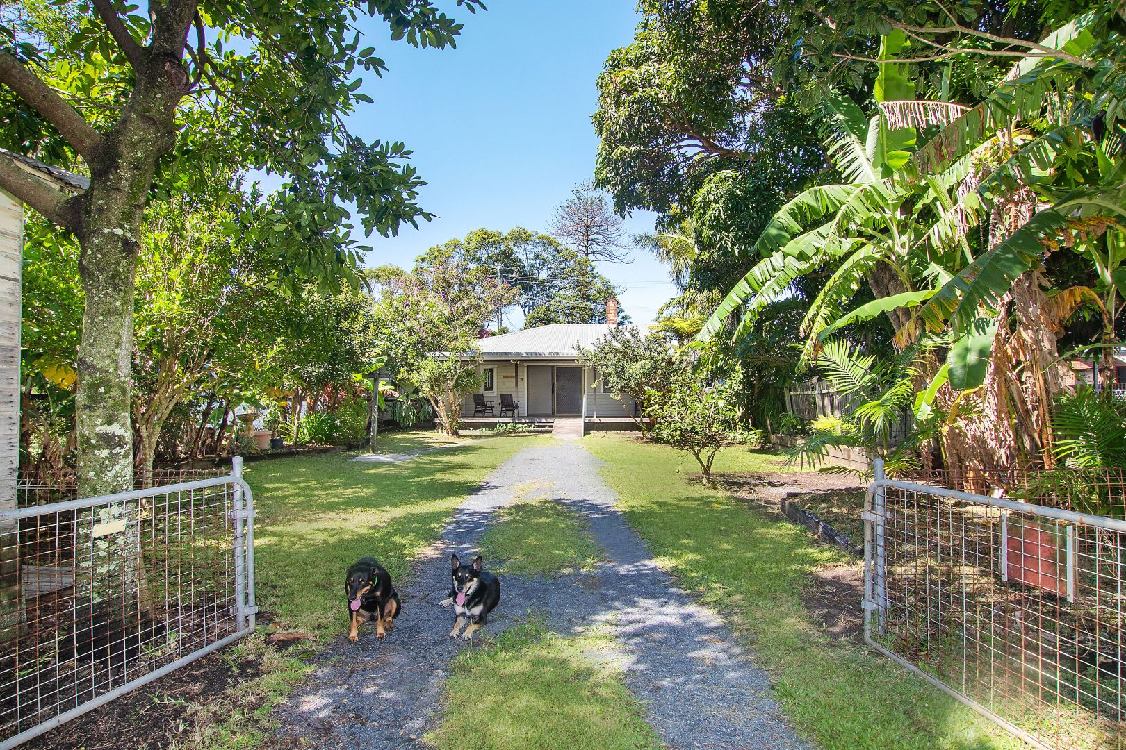 25 Swift Street, Ballina NSW 2478, Image 1