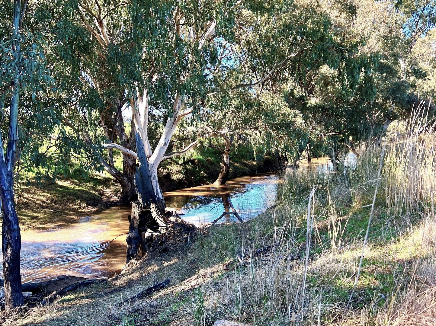 1015 MidWestern Highway, Cowra NSW 2794 House for Sale Domain