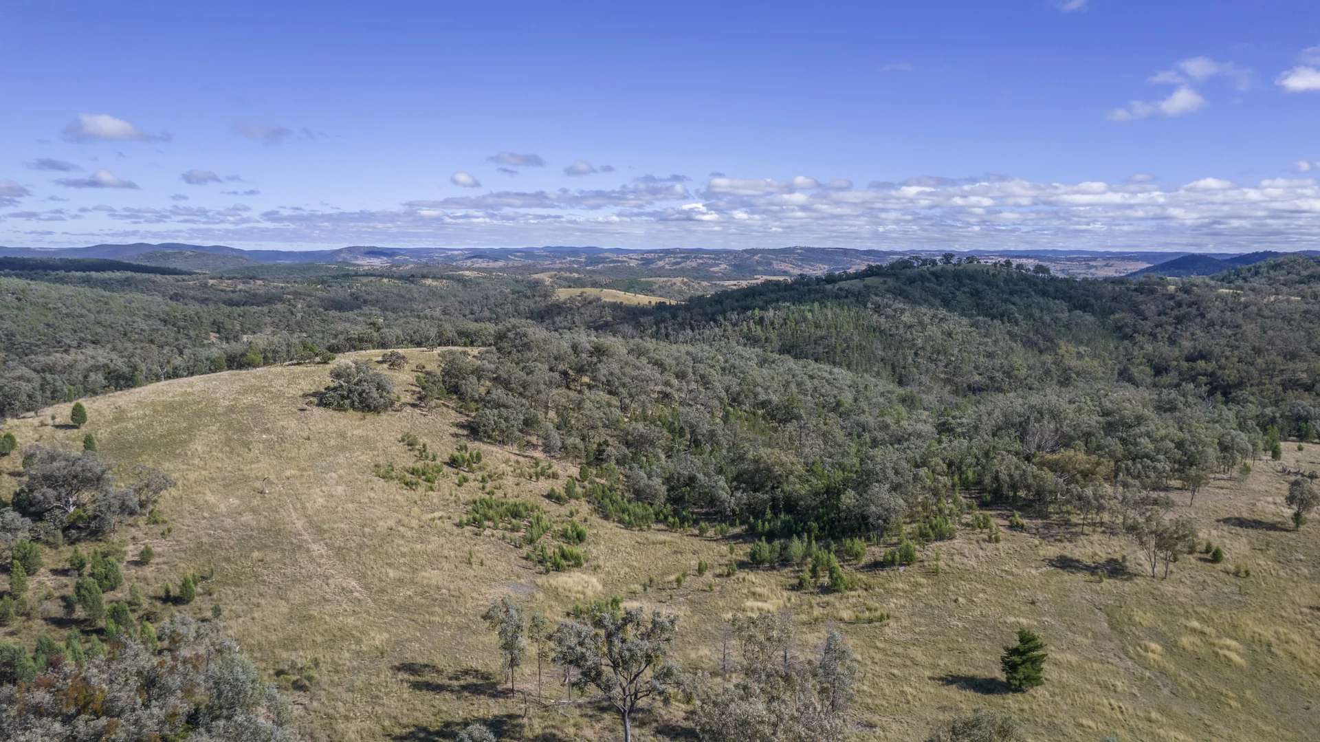 Additional image 18 of 4970 Bruxner Way, Tenterfield NSW 2372