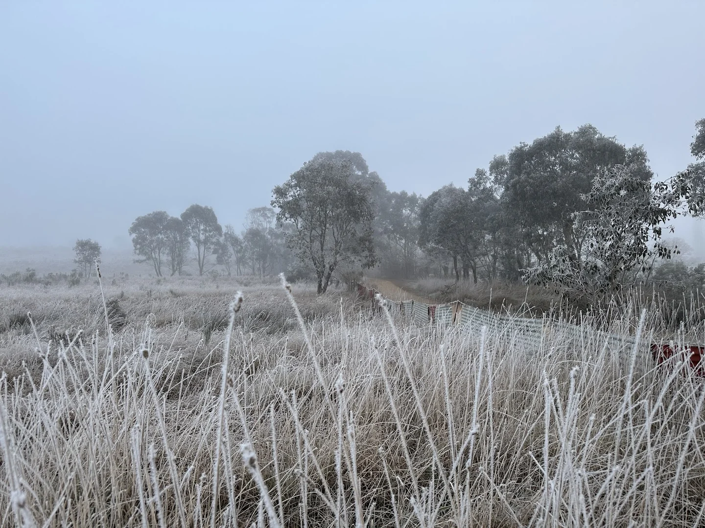 Image 49