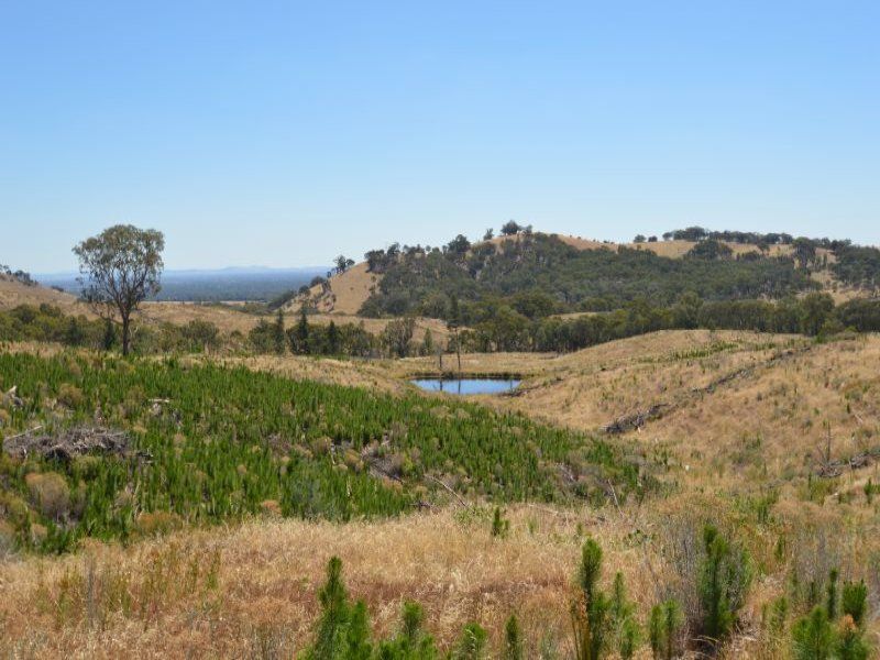 Lot 2 Diffey Road, Everton VIC 3678, Image 1