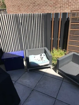 Image 12