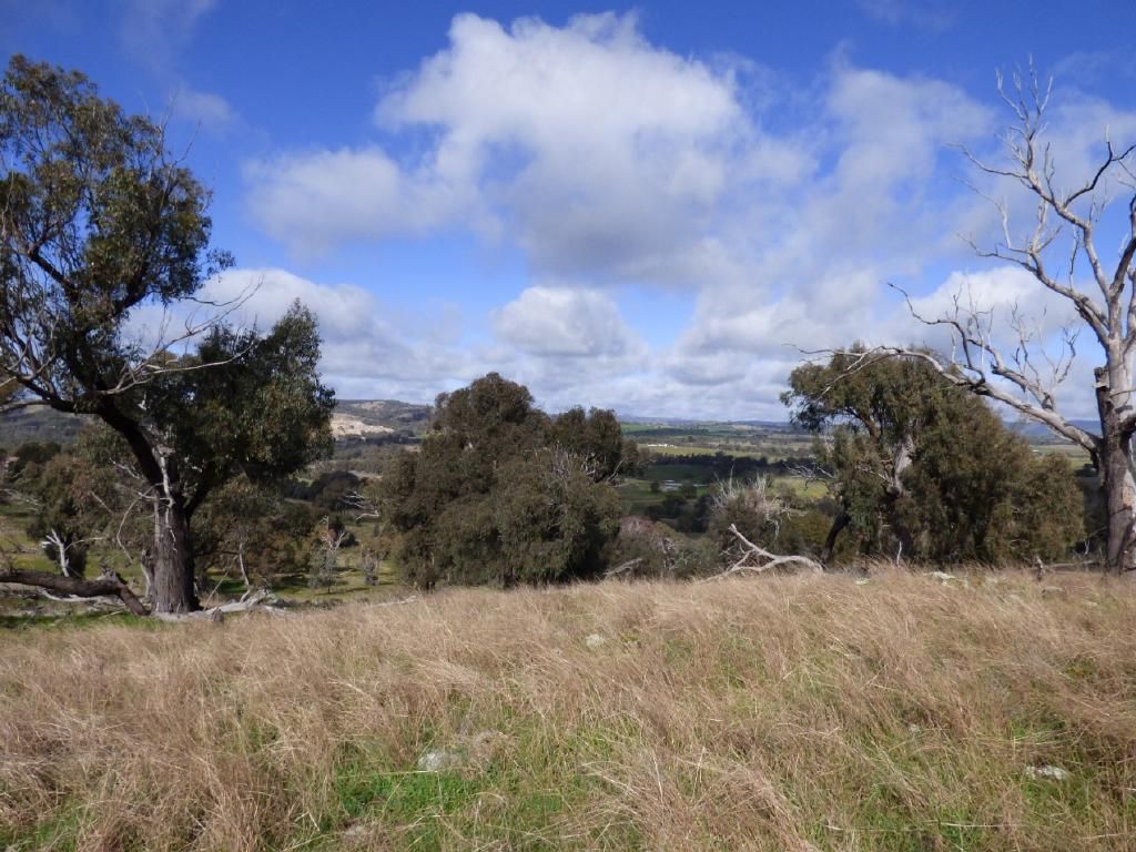 Lot2139 Salt Clay Road, Cootamundra NSW 2590, Image 2