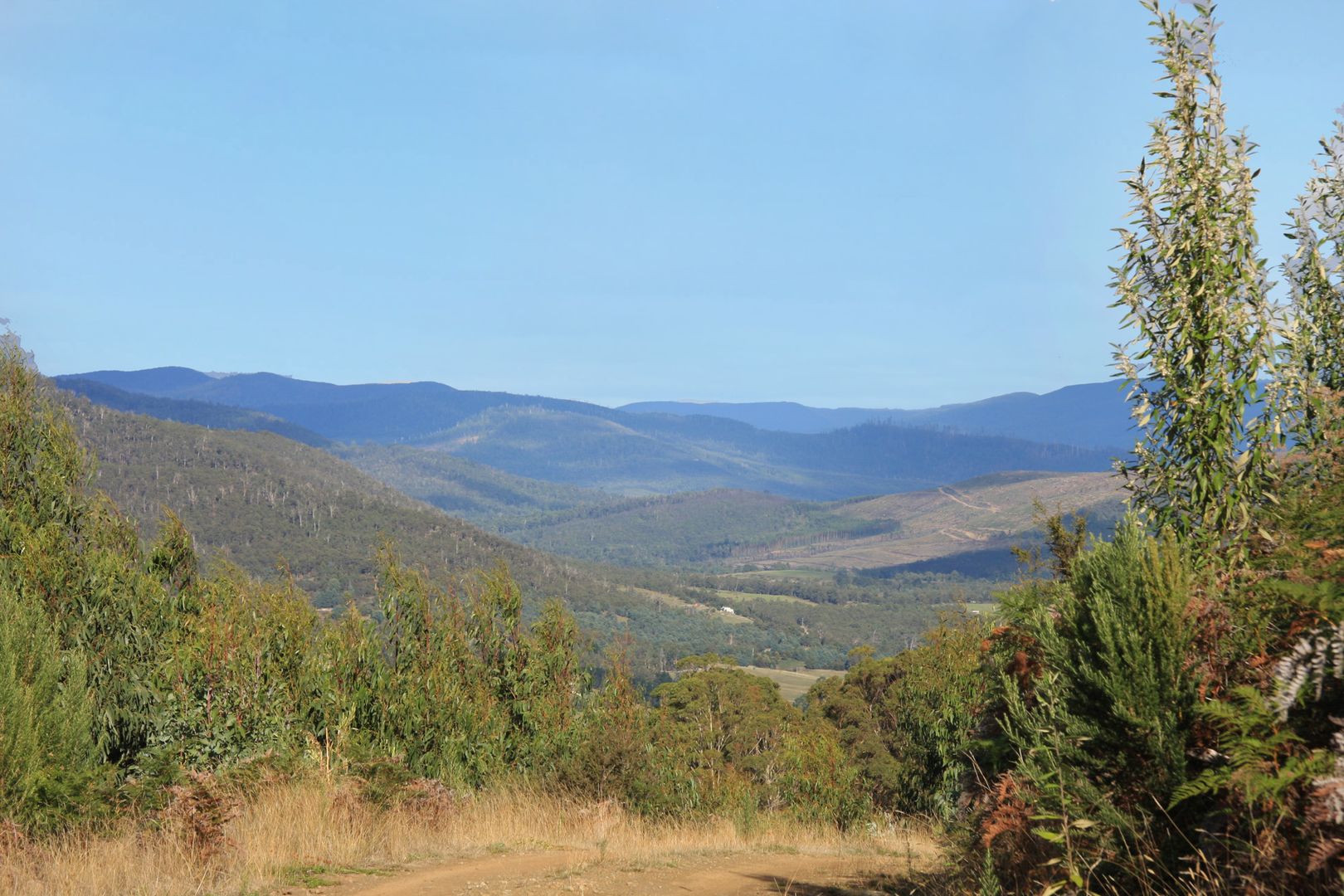 Lot 6 Jacobsons Road, Judbury TAS 7109, Image 1