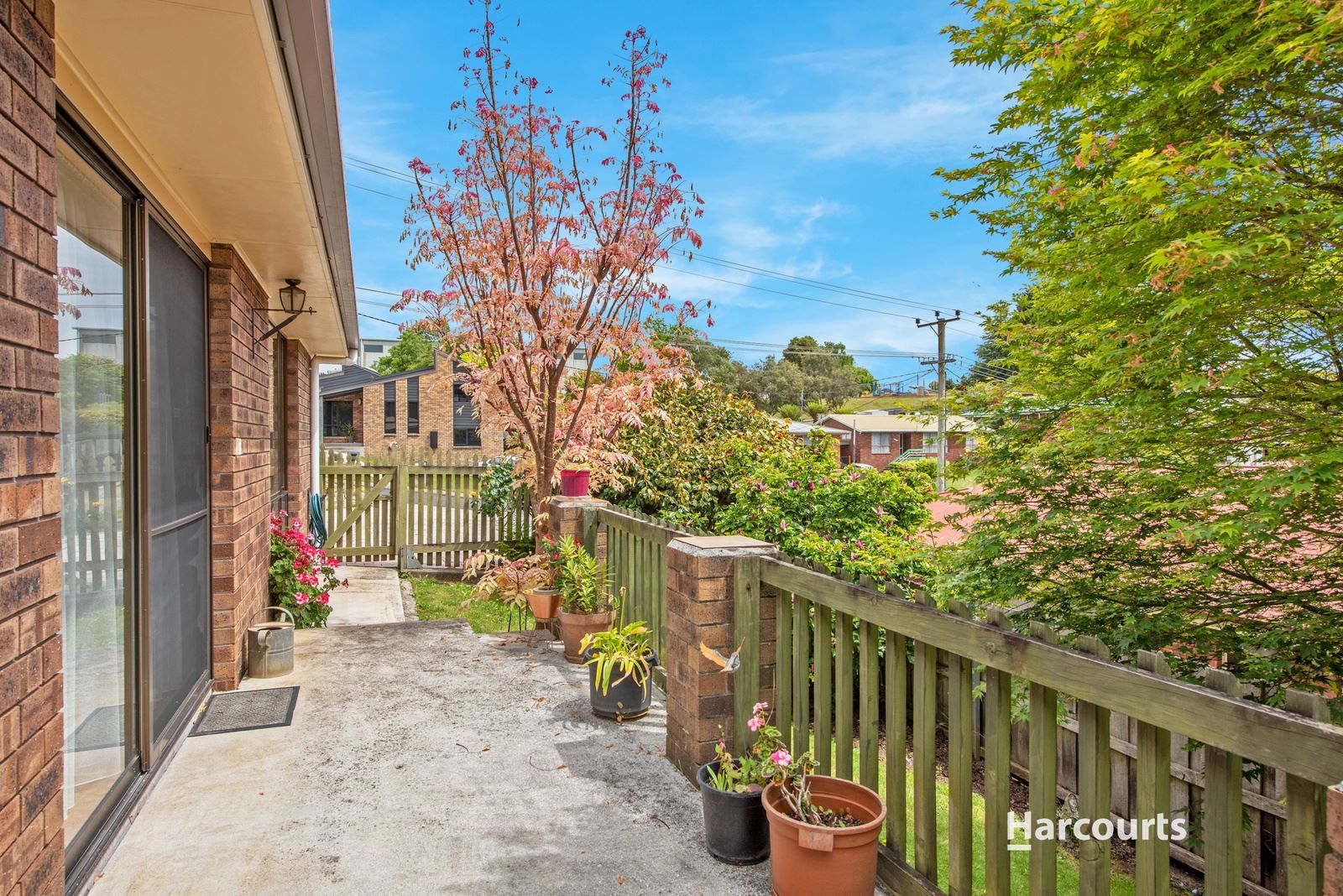 43 Curraghmore Avenue, Park Grove TAS 7320, Image 0