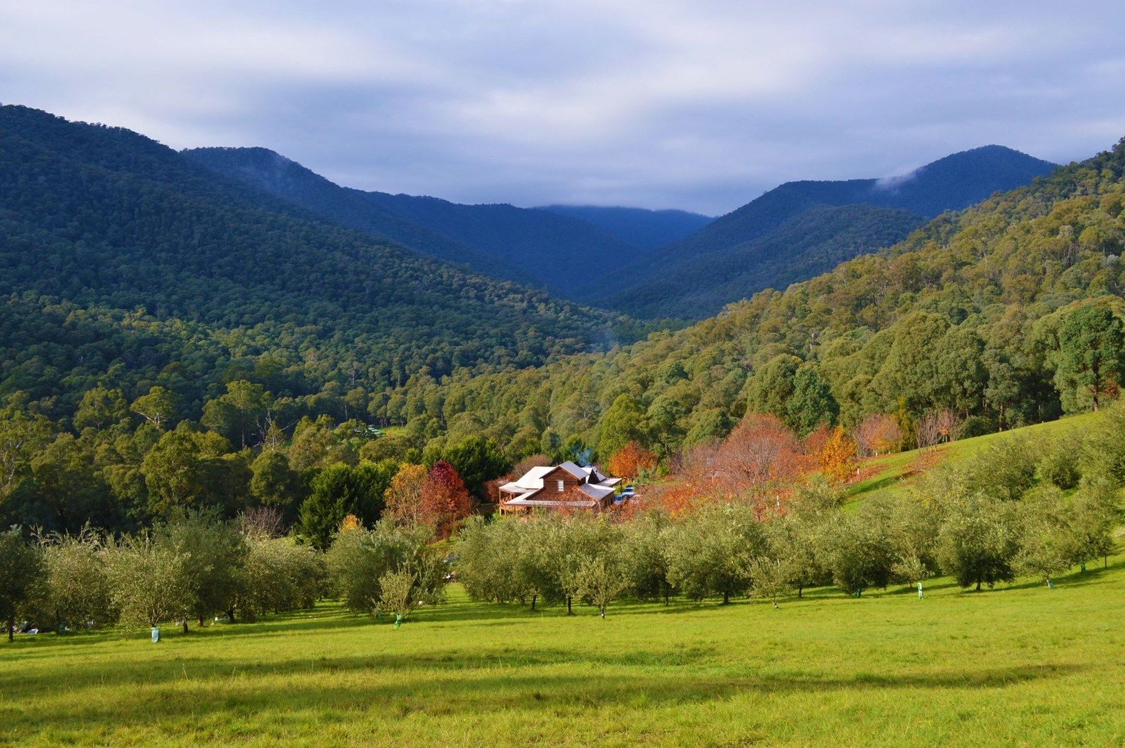 348 Montgomery Lane, Buckland Property History & Address Research