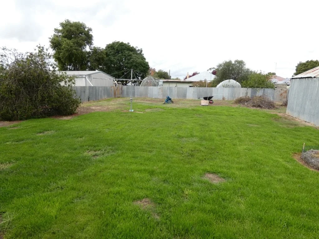 Image 12