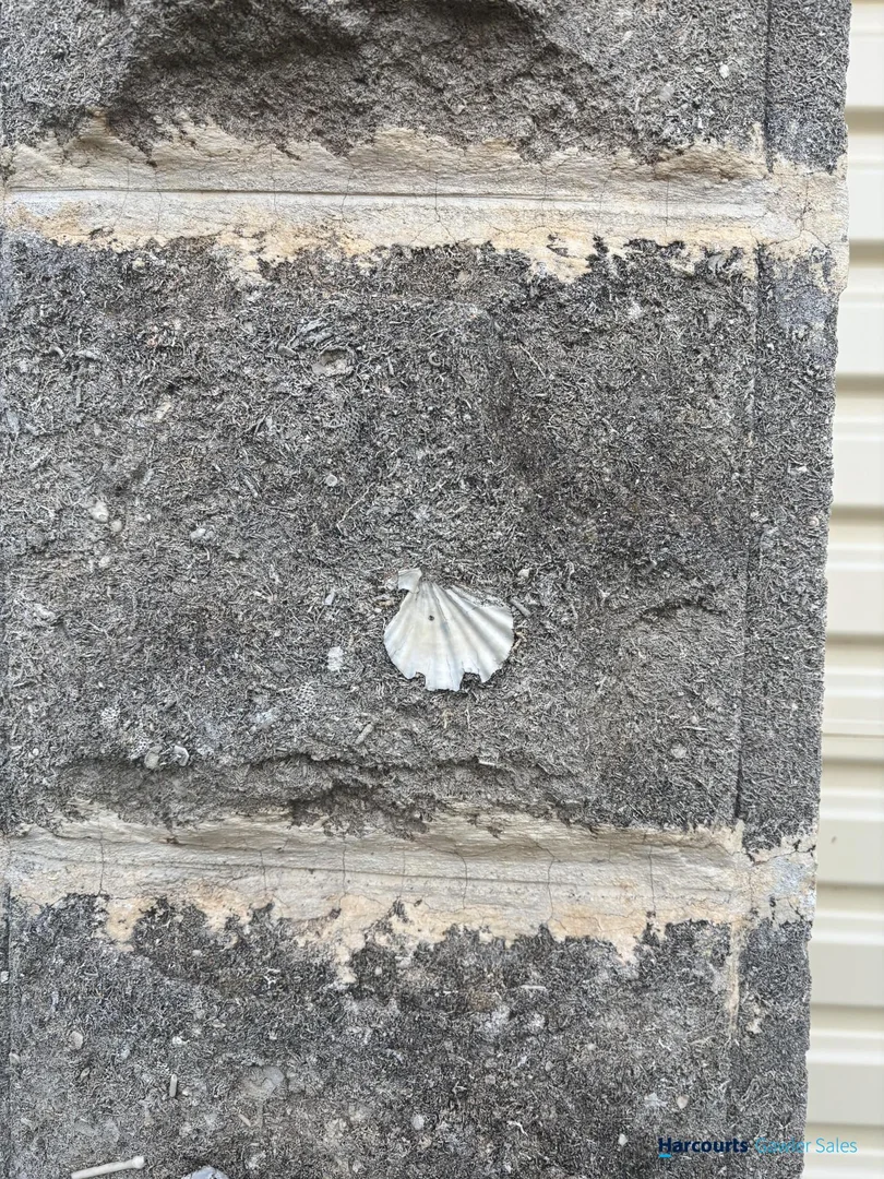 Image 17
