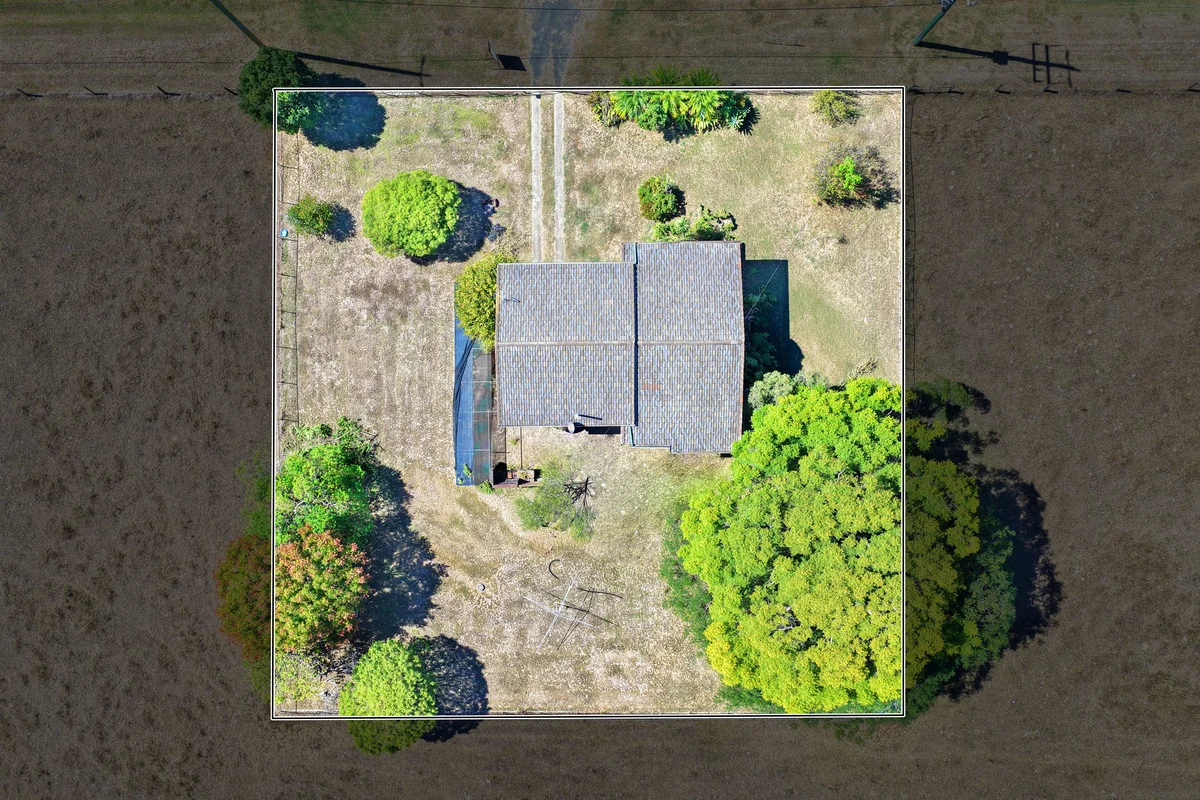 Image 13