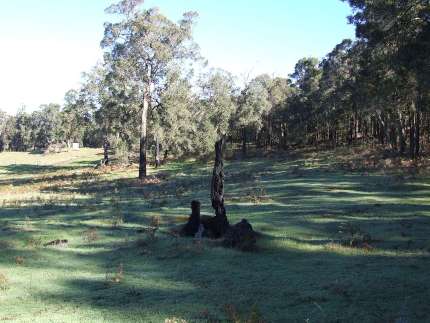 Lot 11 Russell Road, Balingup WA 6253 House for Sale 470,000