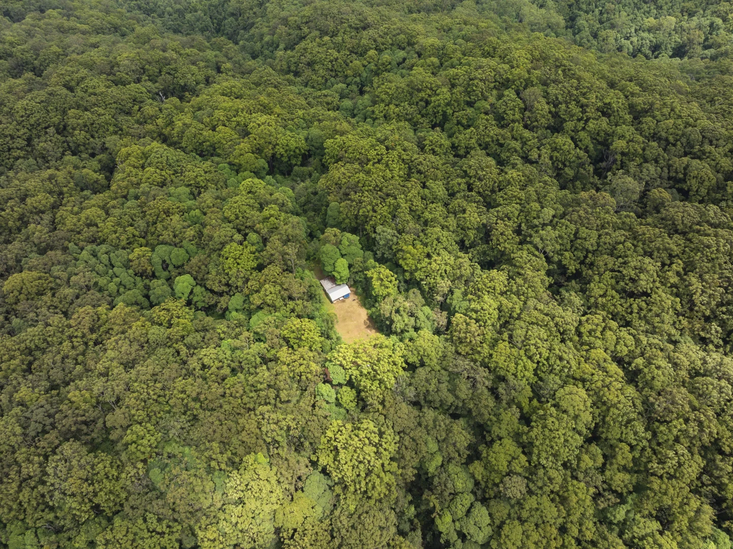 Additional image 4 of 1000 Urliup Road, Urliup NSW 2484