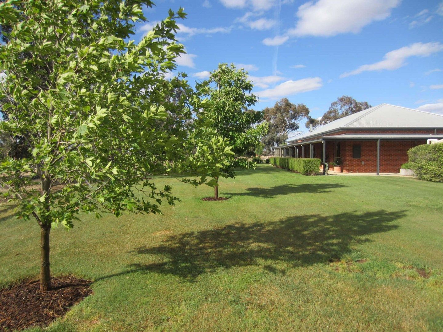 103 Barnes Road, Cobram East VIC 3644, Image 0