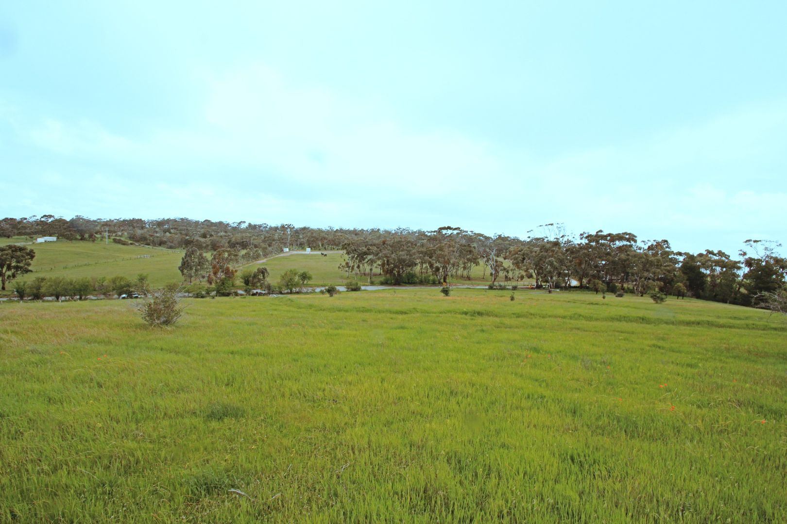 Lot 2 Boconnoc Park Road, Armagh SA 5453, Image 2