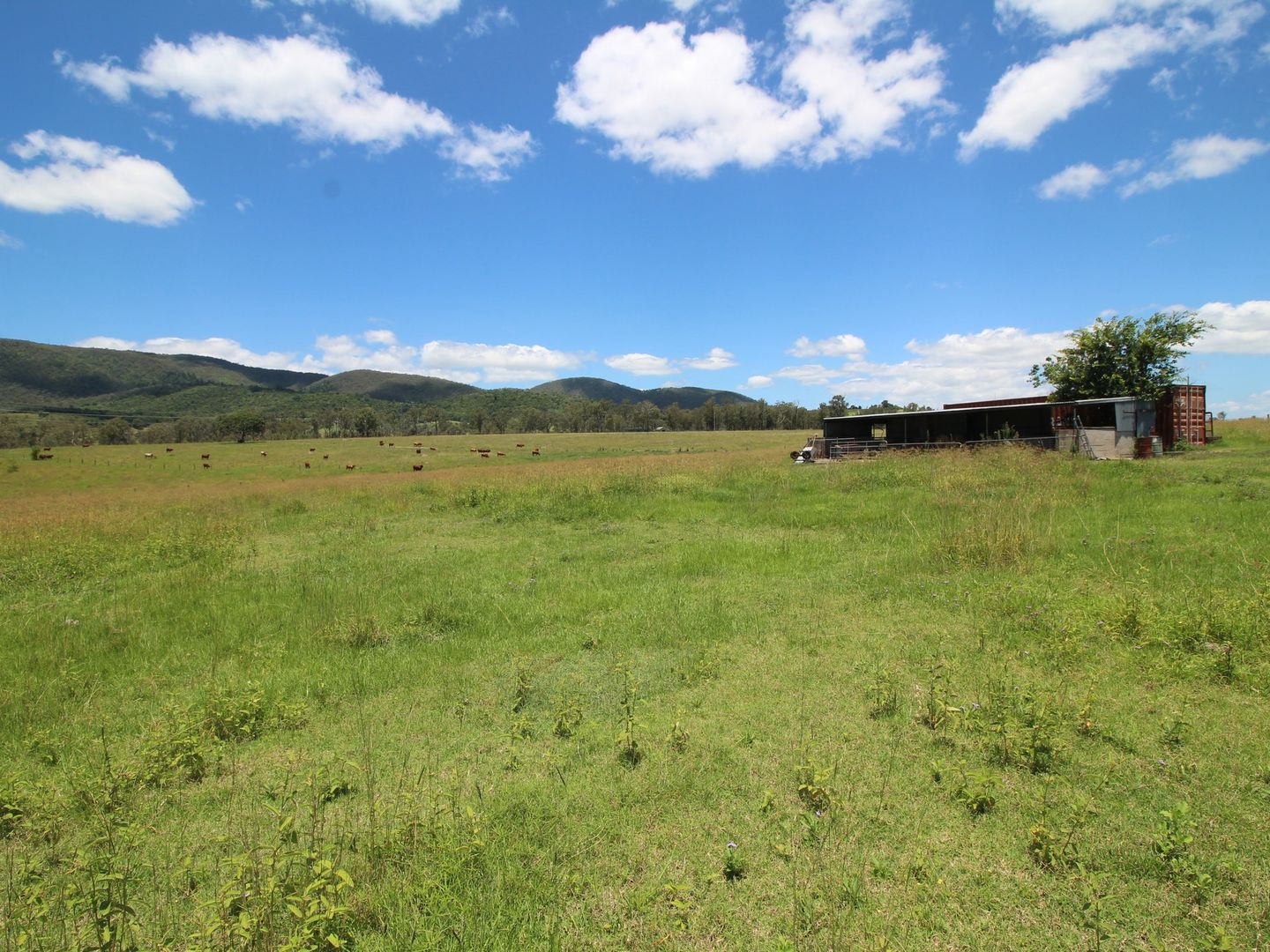 615 Cooeeimbardi Road, Lower Cressbrook QLD 4313, Image 2