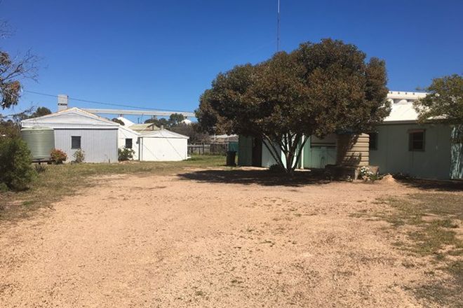 Picture of 1 Kent Street, THEVENARD SA 5690