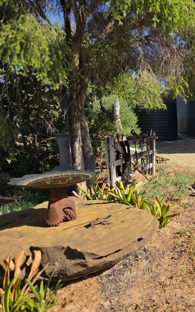 Image 15