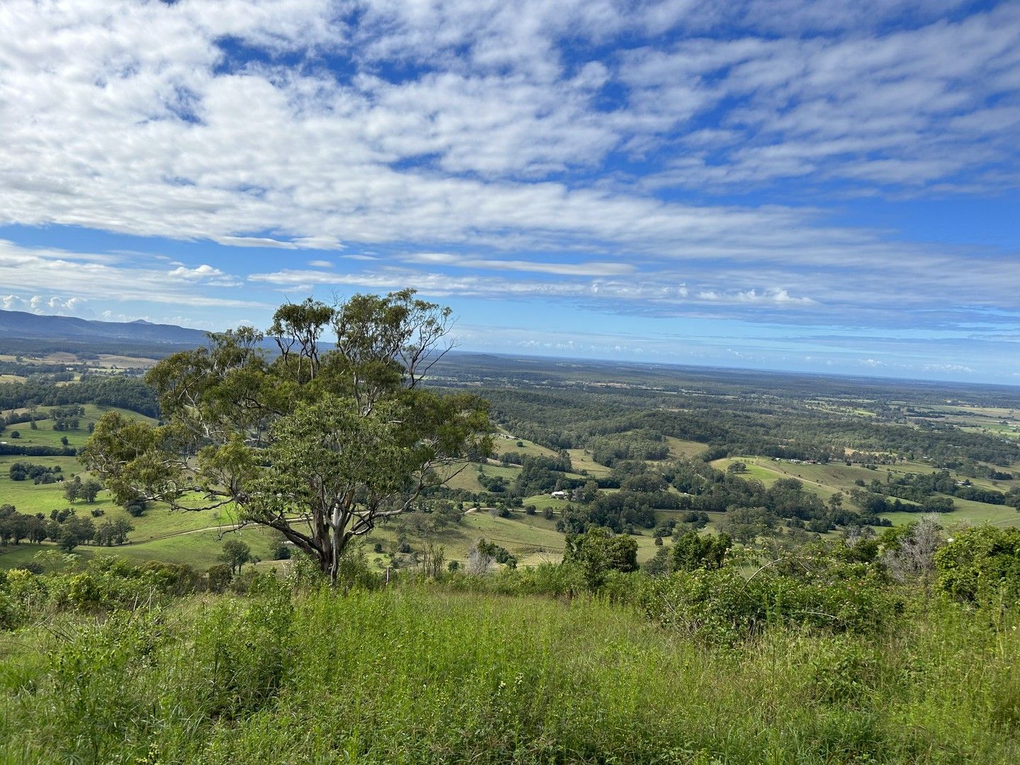 Marlee NSW 2429, Image 0