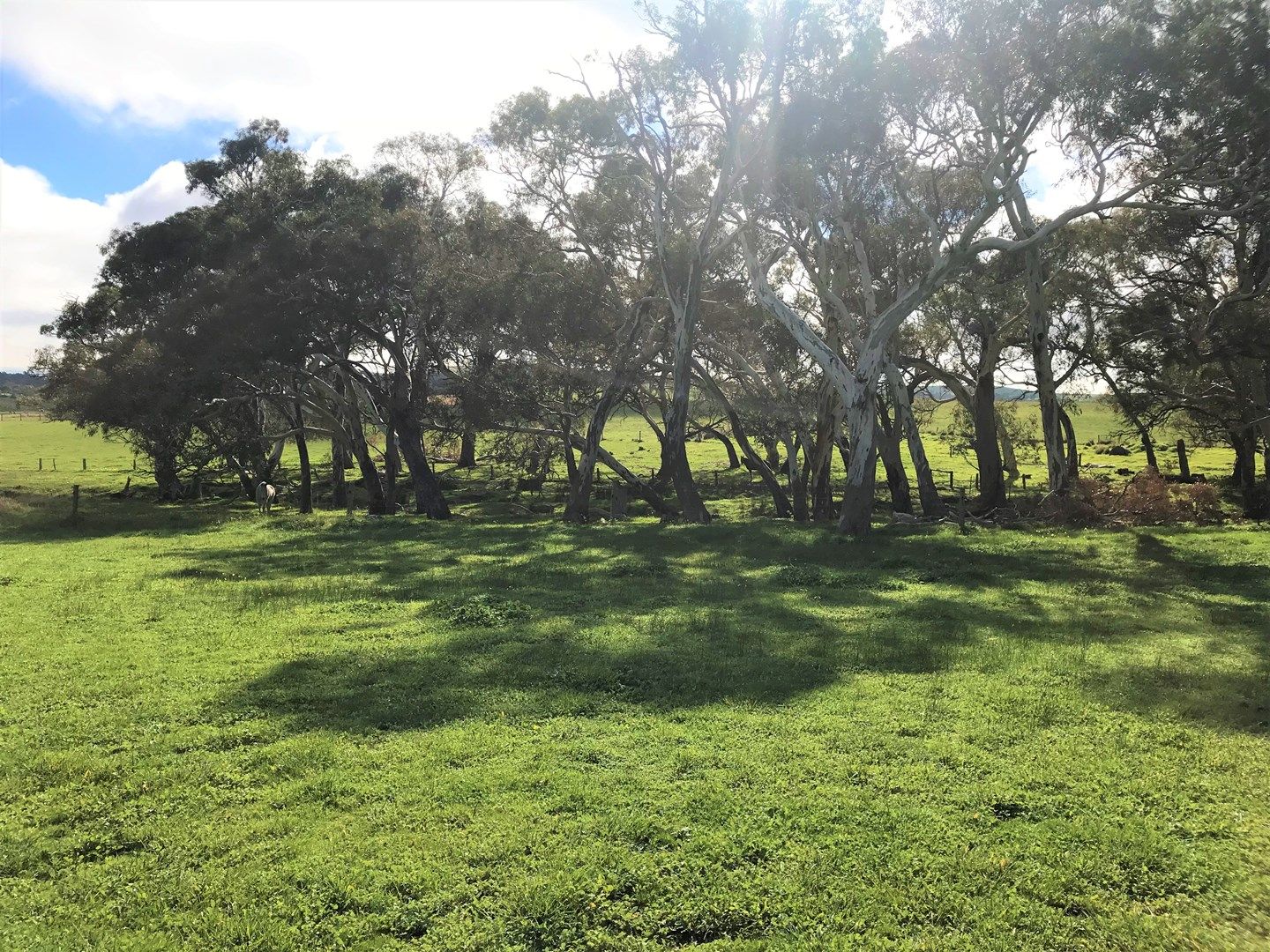 Lot 10 Main South Road, Wirrina Cove SA 5204, Image 0