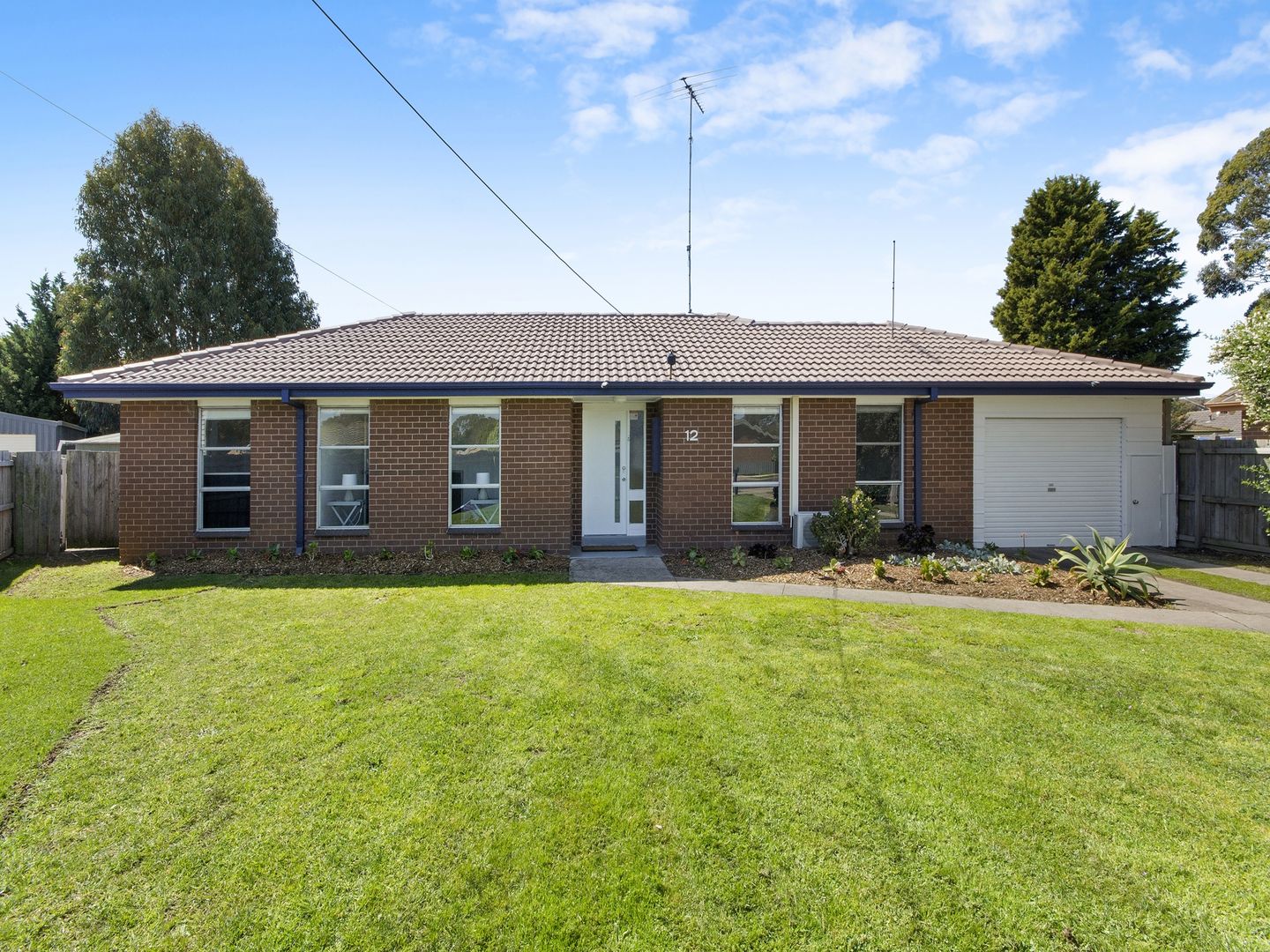 12 Sputnik Court, Whittington VIC 3219, Image 1