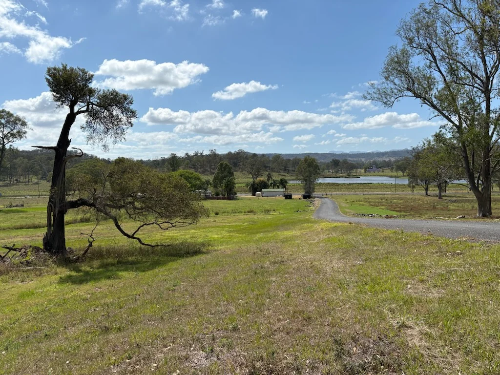 Image 12