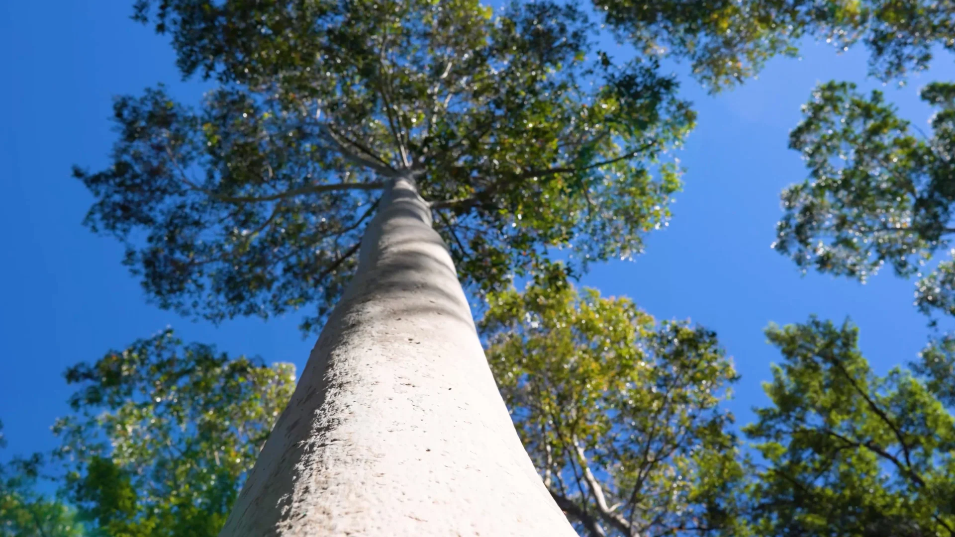 Additional image 11 of 41/271 Lemon Tree Creek Road, Termeil NSW 2539