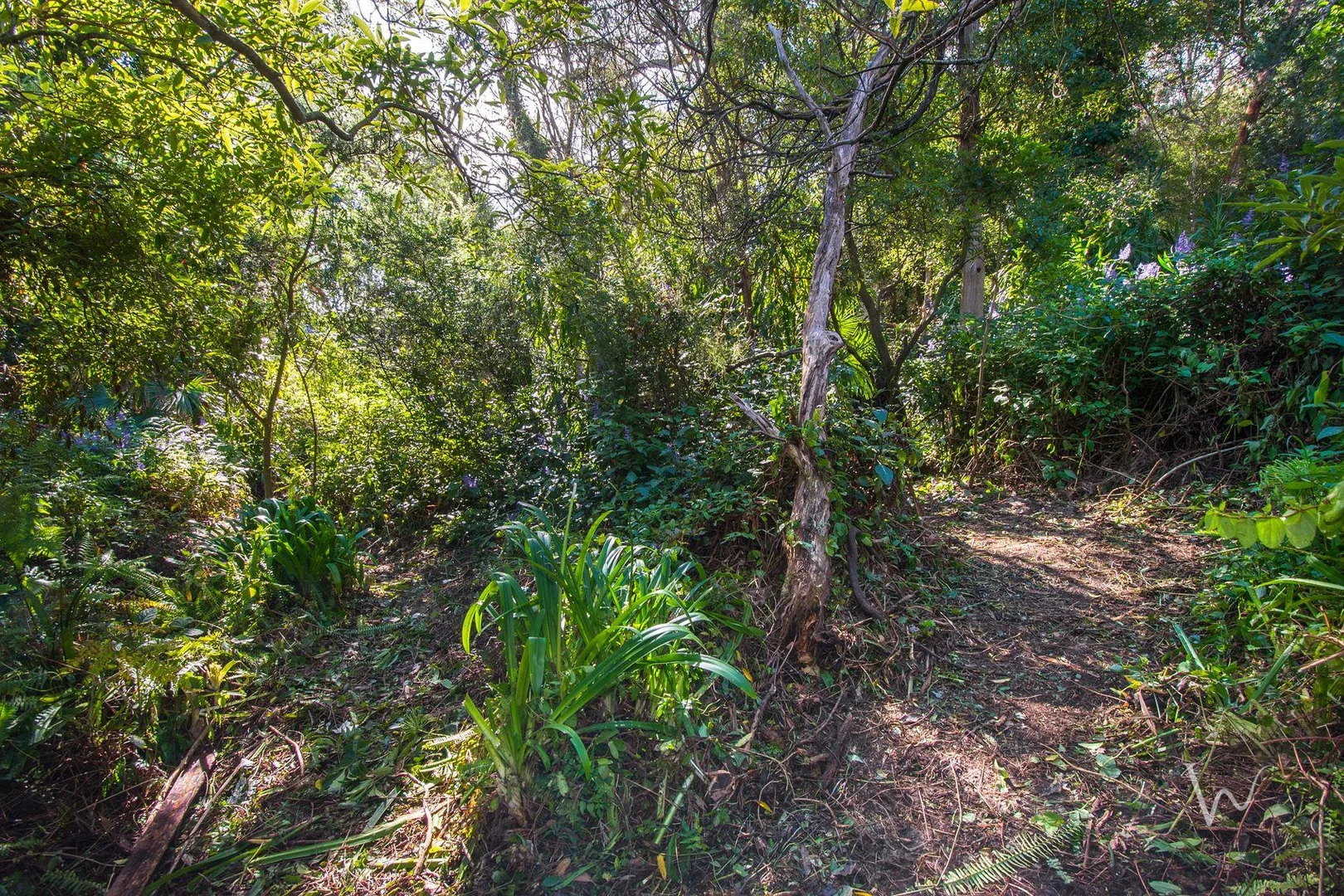 Additional image 13 of 5 Wattle Avenue, Belgrave VIC 3160