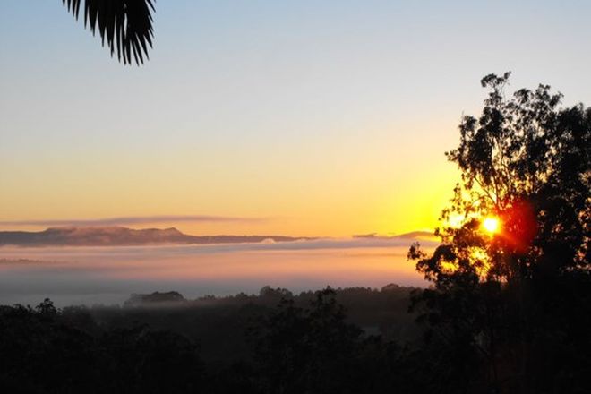 Picture of Peckhams Rd, EWINGAR NSW 2469