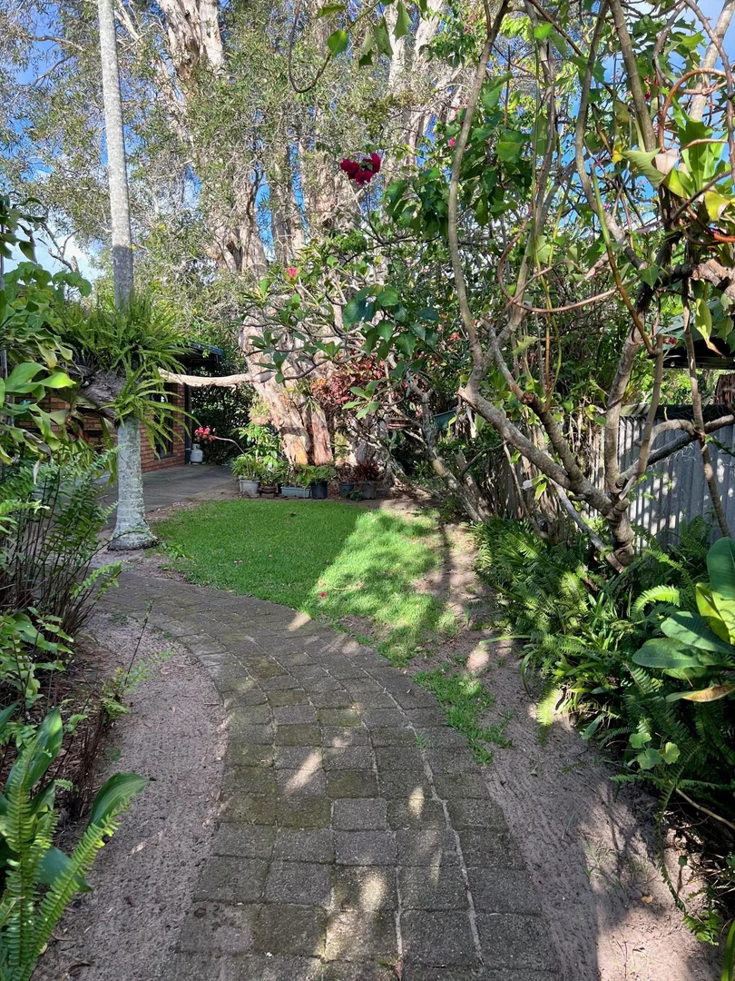 Image 13
