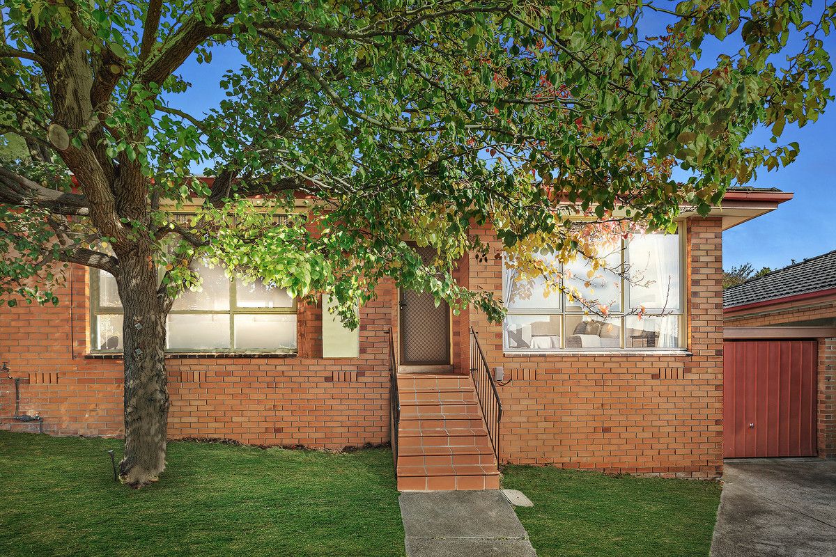 2/31 Andrews Street, Burwood VIC 3125, Image 0